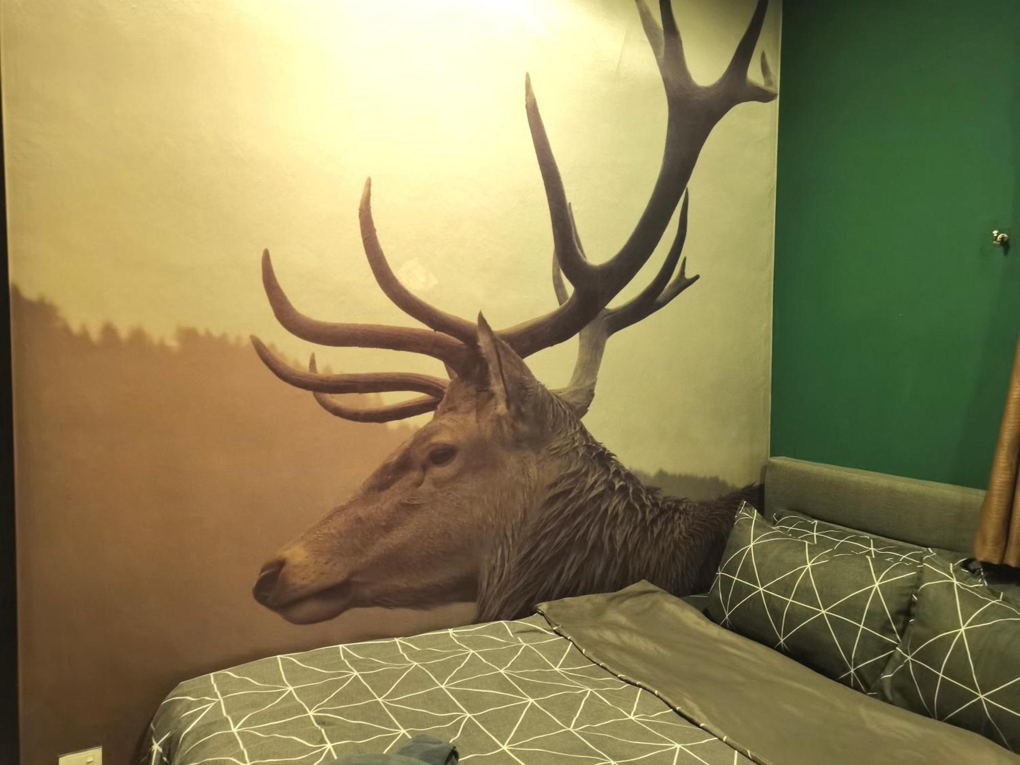 Cozy Forest Themed Homestay 4 Bedroom كوالالمبور المظهر الخارجي الصورة
